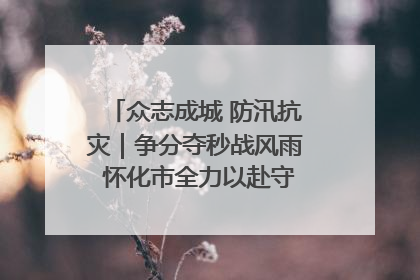 众志成城 防汛抗灾｜争分夺秒战风雨 怀化市全力以赴守护人民群众安全